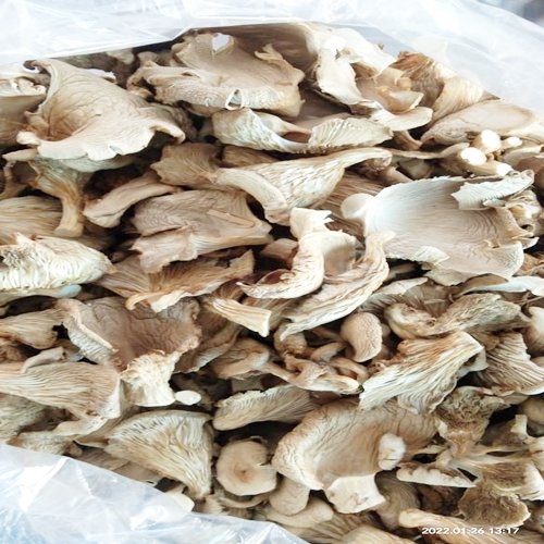 Dry Mushroom